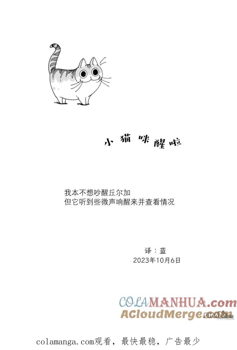 第186话-关于养猫我一直是新手-キュルZ（第3张）