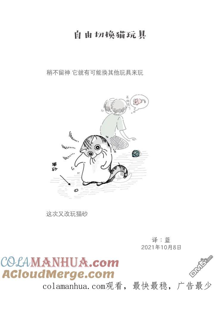 第85话-关于养猫我一直是新手-キュルZ（第2张）