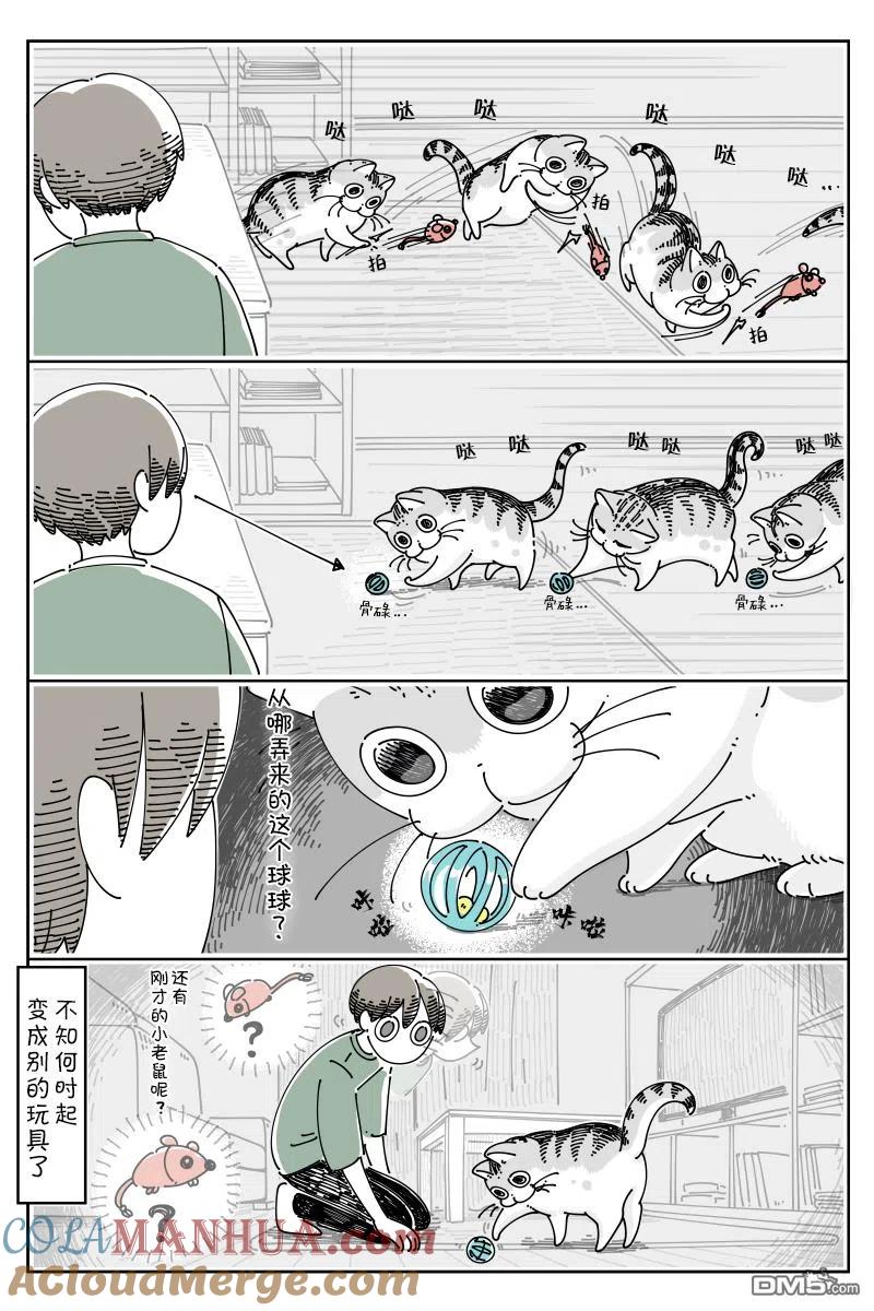 第85话-关于养猫我一直是新手-キュルZ（第1张）