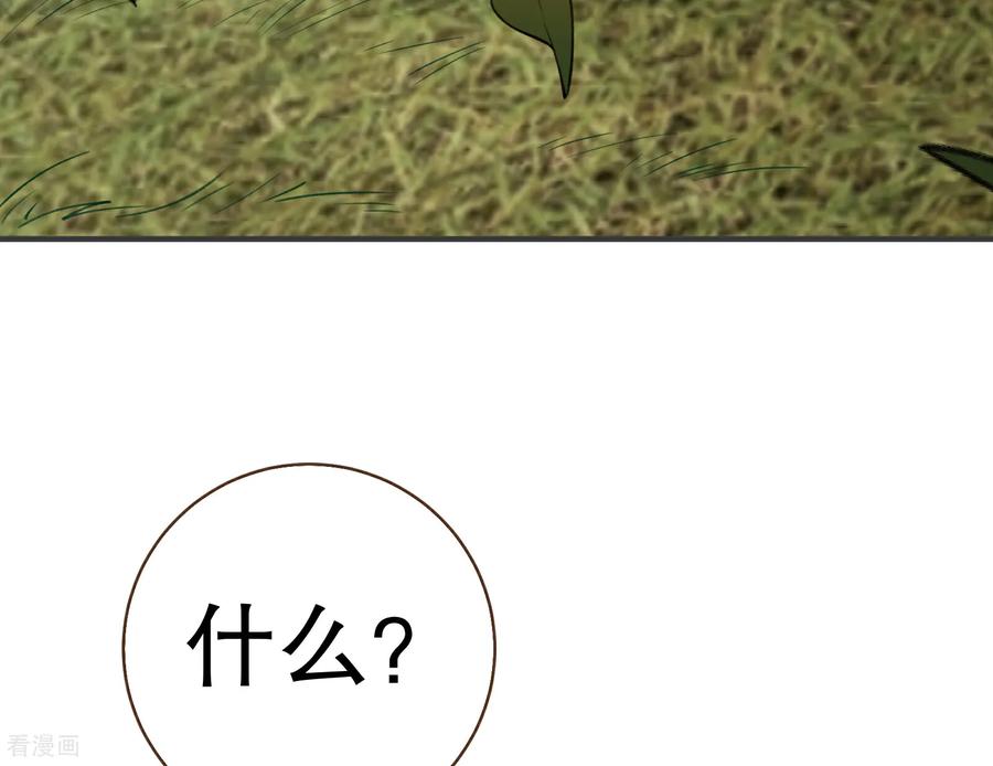 50.jpg