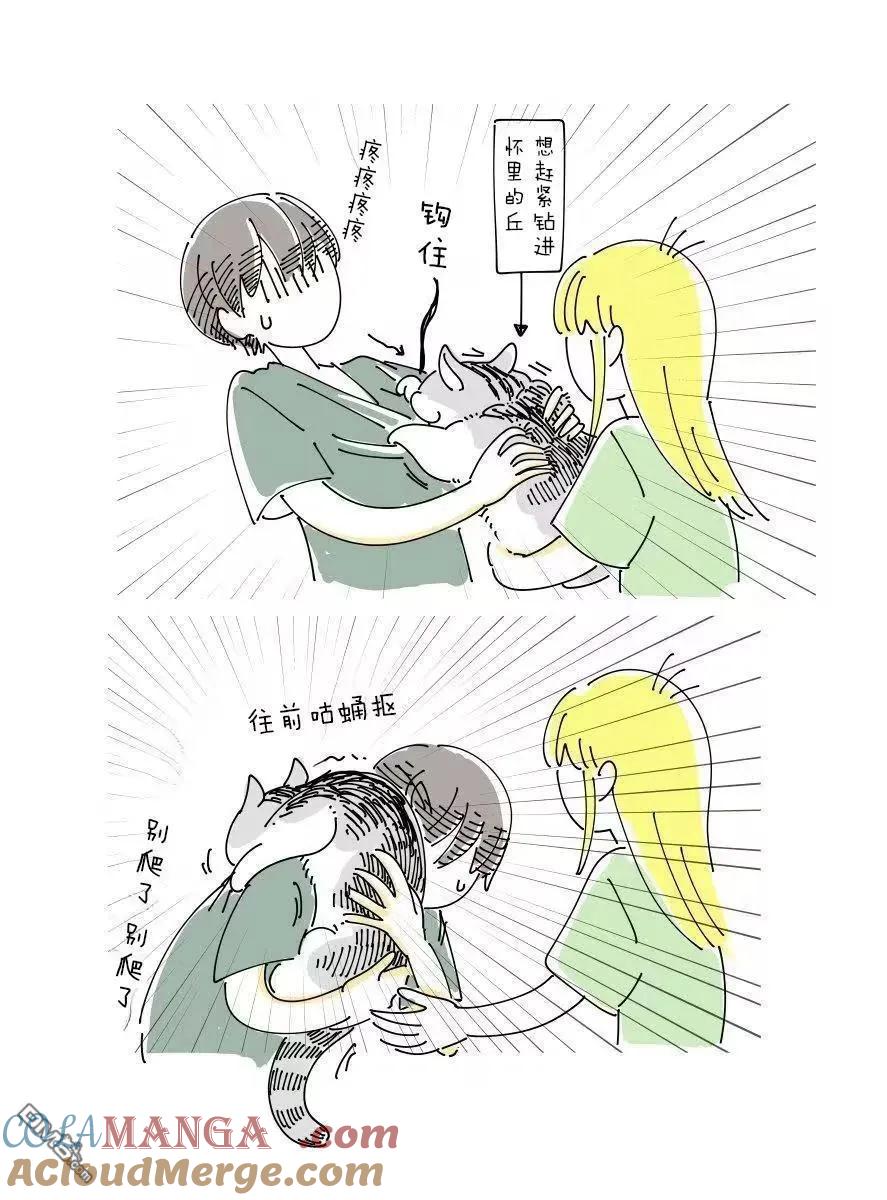6月挂历彩蛋-关于养猫我一直是新手-キュルZ（第1张）