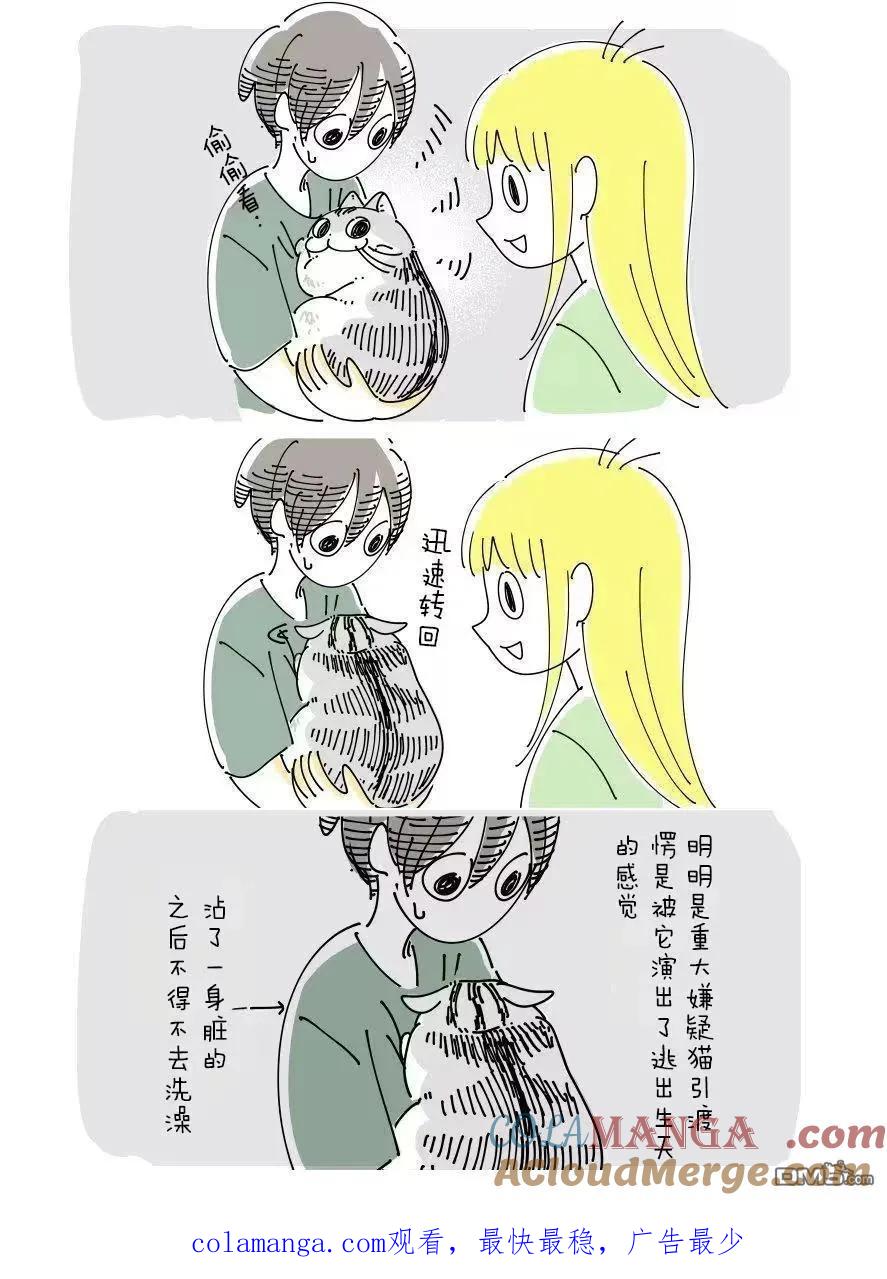 6月挂历彩蛋-关于养猫我一直是新手-キュルZ（第2张）
