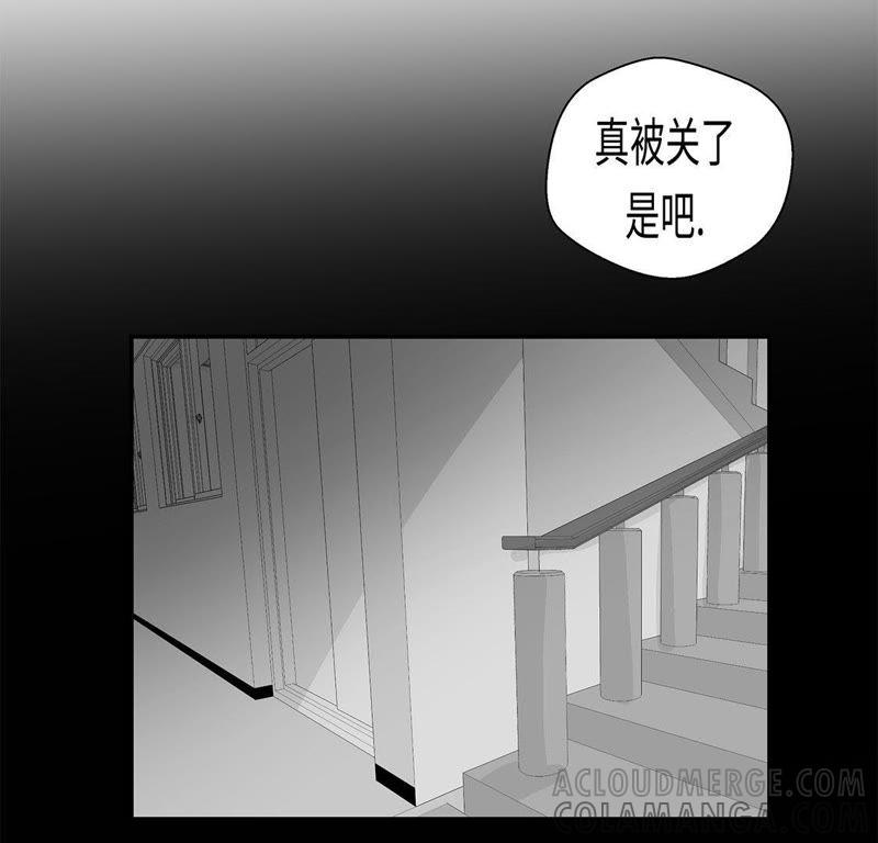 第31话只为见到你-奇妙的动物高中-一漫文化（第4张）