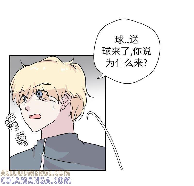第32话我不是故意的-奇妙的动物高中-一漫文化（第19张）