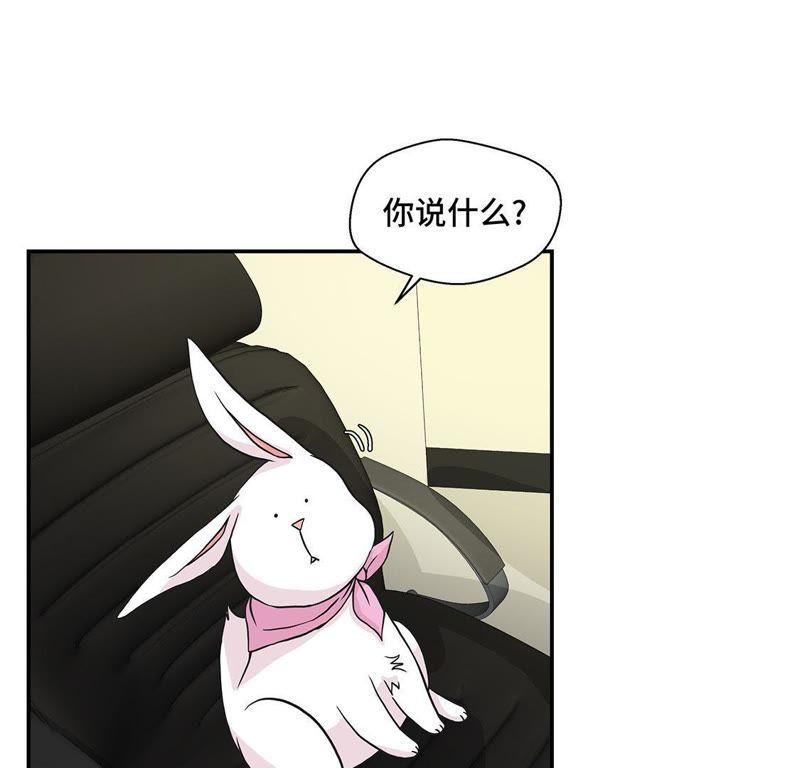 第40话说出你的秘密-奇妙的动物高中-一漫文化（第6张）