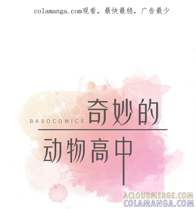 第45话感恩-奇妙的动物高中-一漫文化（第1张）