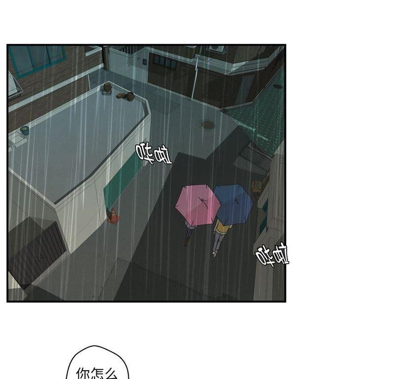 第46话加入社团-奇妙的动物高中-一漫文化（第24张）