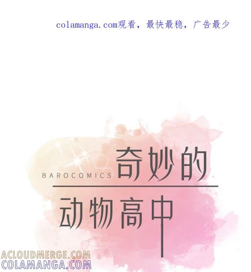 第47话午餐时间-奇妙的动物高中-一漫文化（第1张）