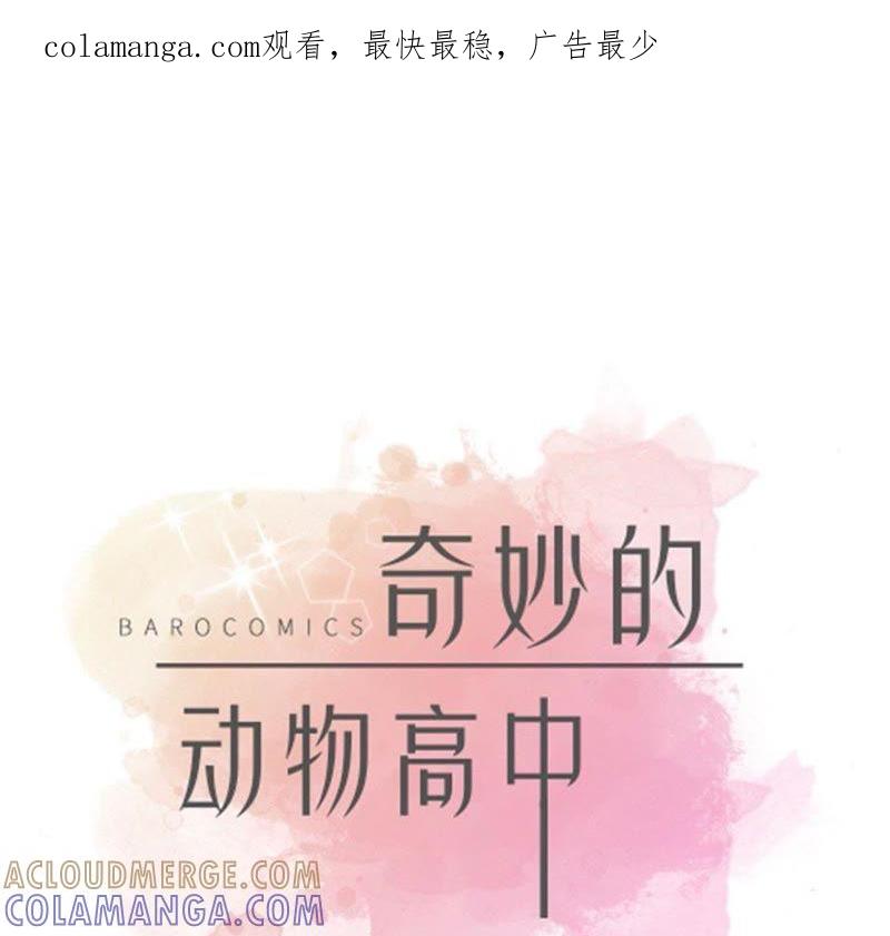 第50话情报能力-奇妙的动物高中-一漫文化（第1张）