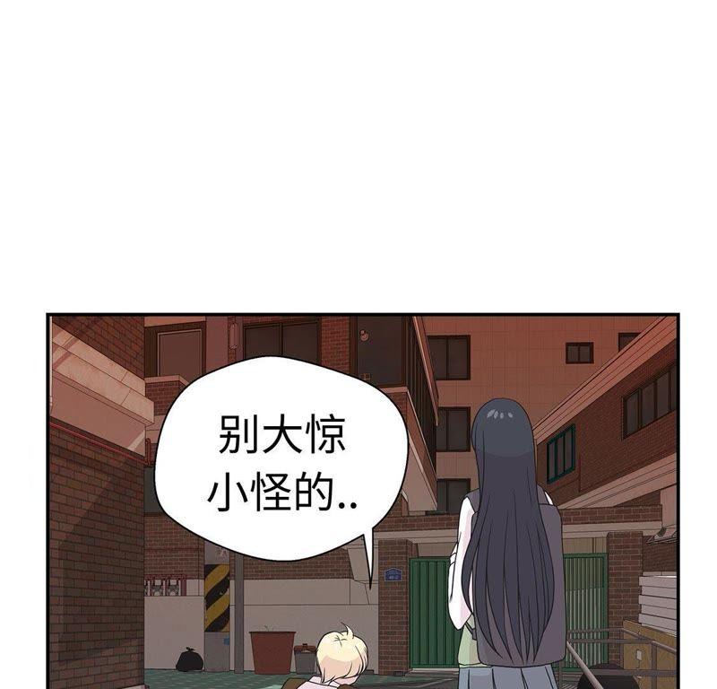 第52话被杀之前-奇妙的动物高中-一漫文化（第11张）