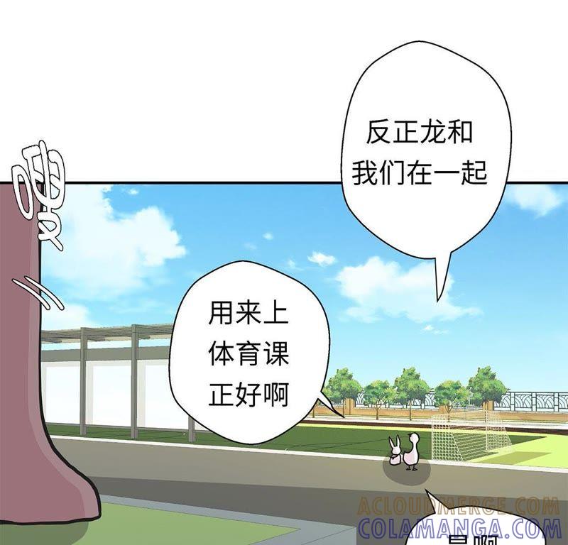 第57话不放过任何一个机会-奇妙的动物高中-一漫文化（第5张）