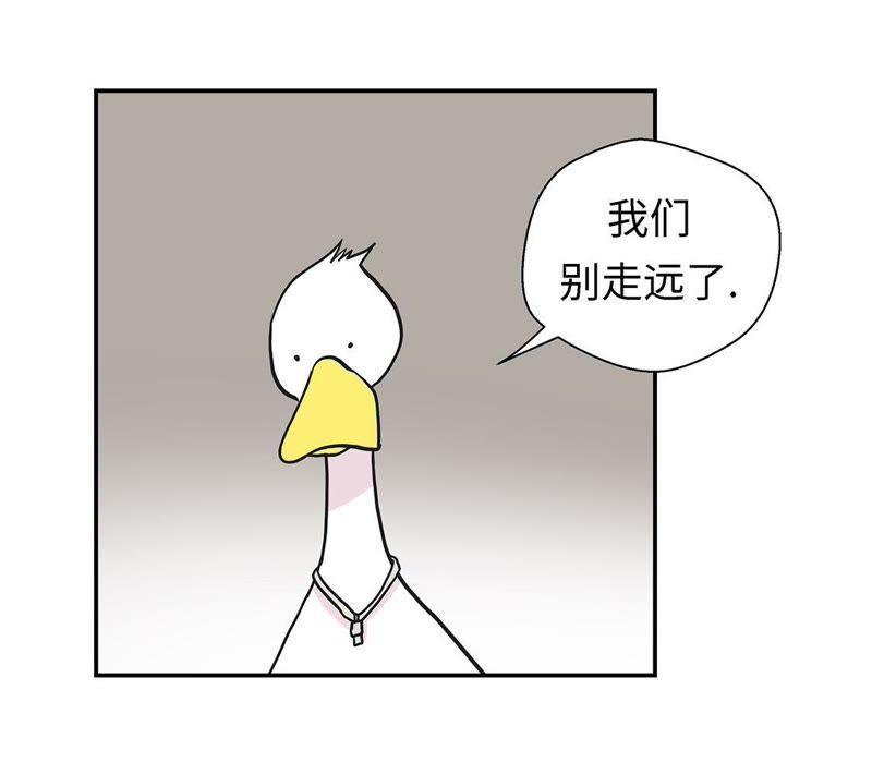 第57话不放过任何一个机会-奇妙的动物高中-一漫文化（第4张）