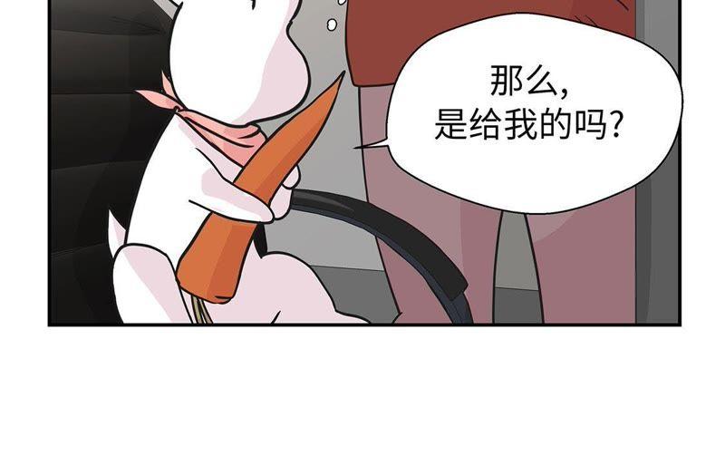 第61话大萝卜-奇妙的动物高中-一漫文化（第12张）