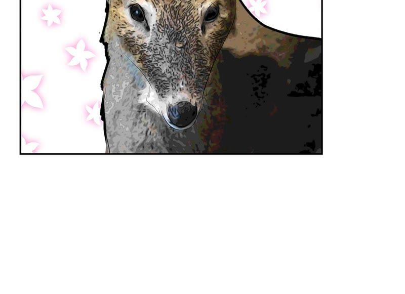第75话禁止入内-我不是吸血废宅-一漫文化（第12张）