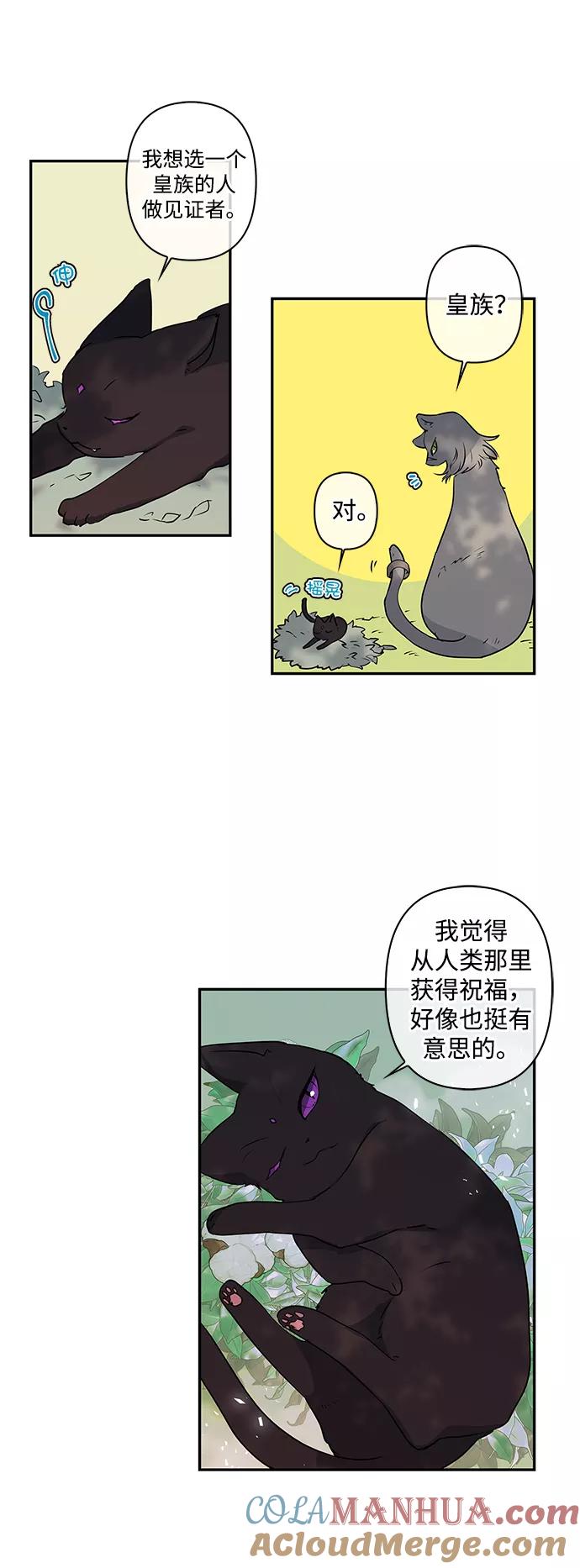 第17话-我的野蛮萌友-Early Flower/Teava,Yeoseulki（第5张）