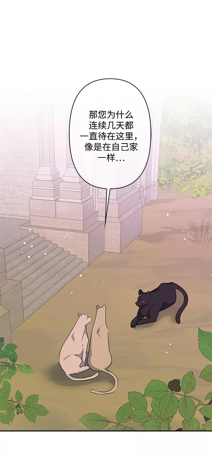 第43话-我的野蛮萌友-Early Flower/Teava,Yeoseulki（第2张）