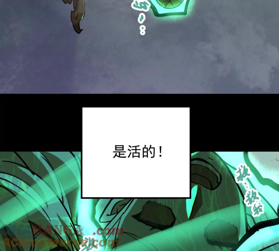 73.jpg