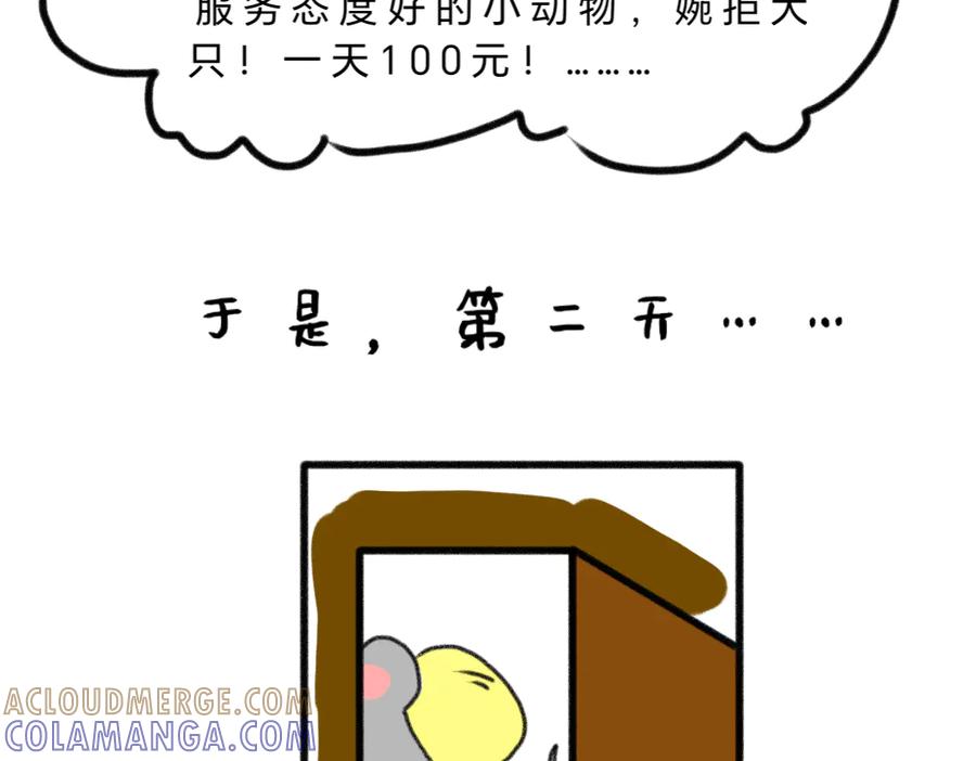 打工Day1-鼠的周记-【已注销】（第11张）