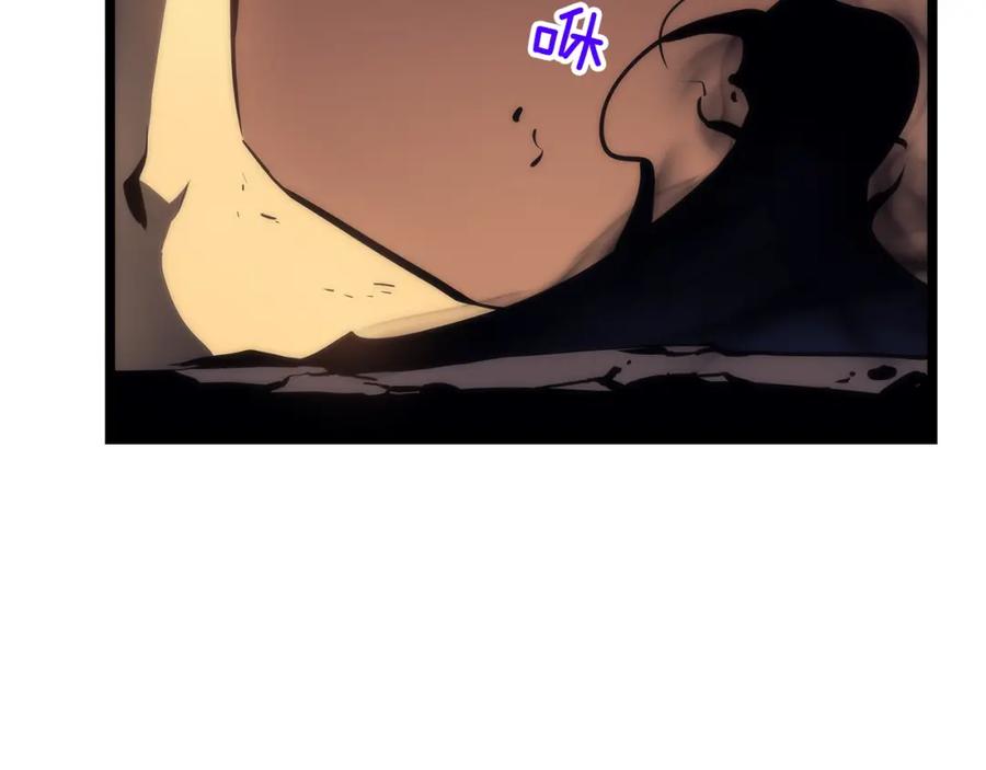 243.jpg