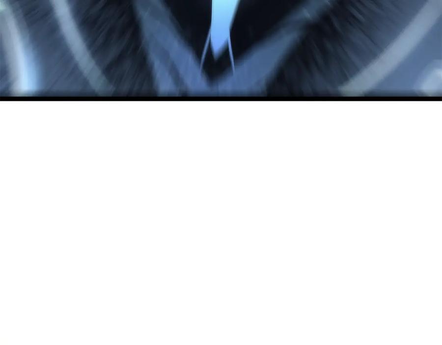 256.jpg