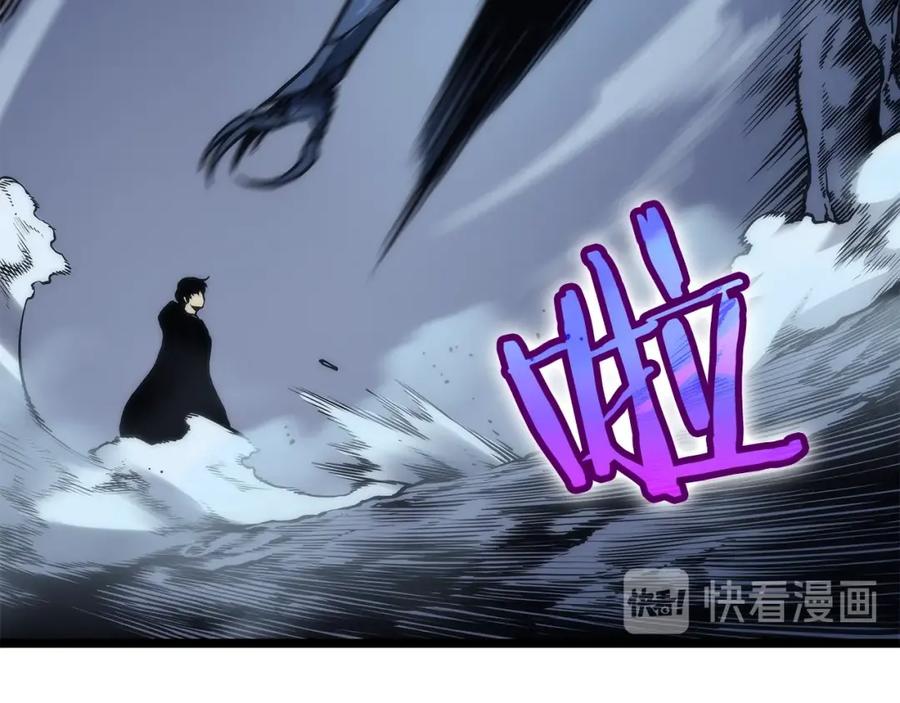 224.jpg
