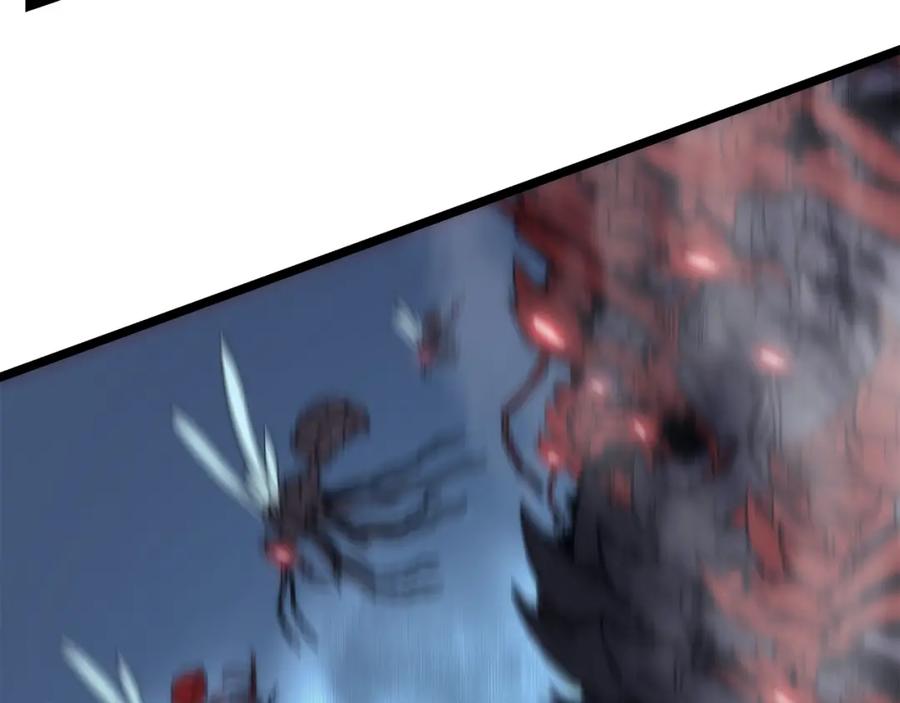 278.jpg