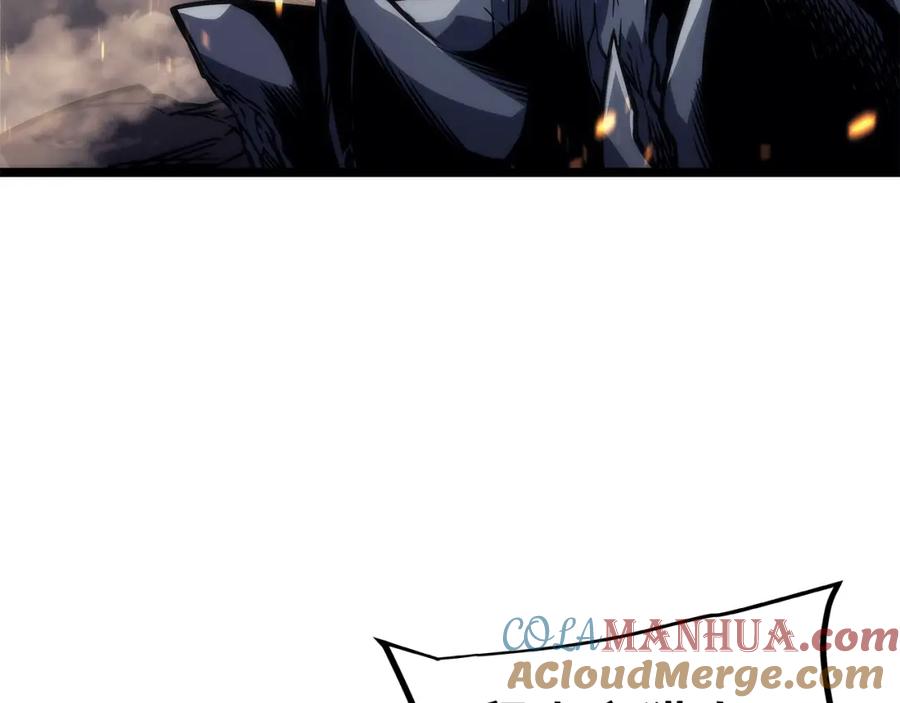 113.jpg