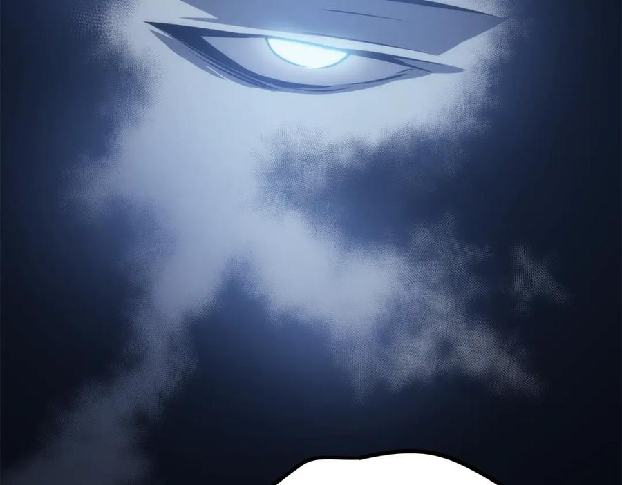 243.jpg