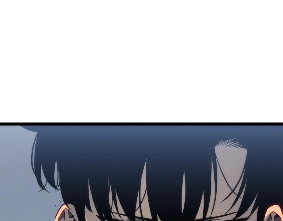 251.jpg