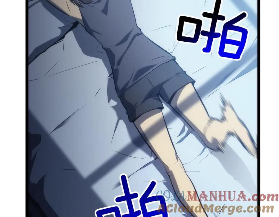 243.jpg