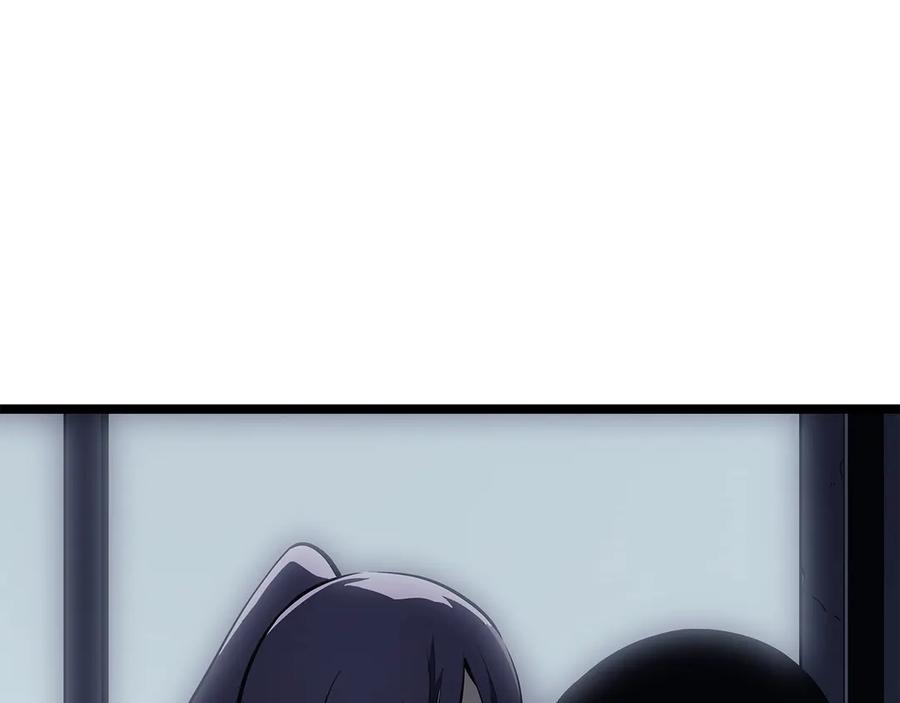 241.jpg