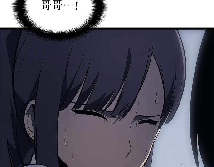 245.jpg