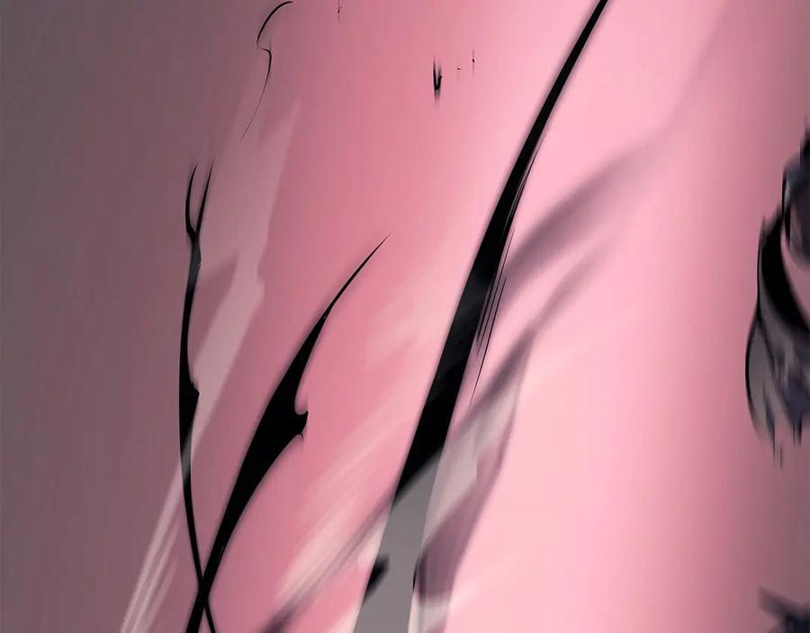 231.jpg