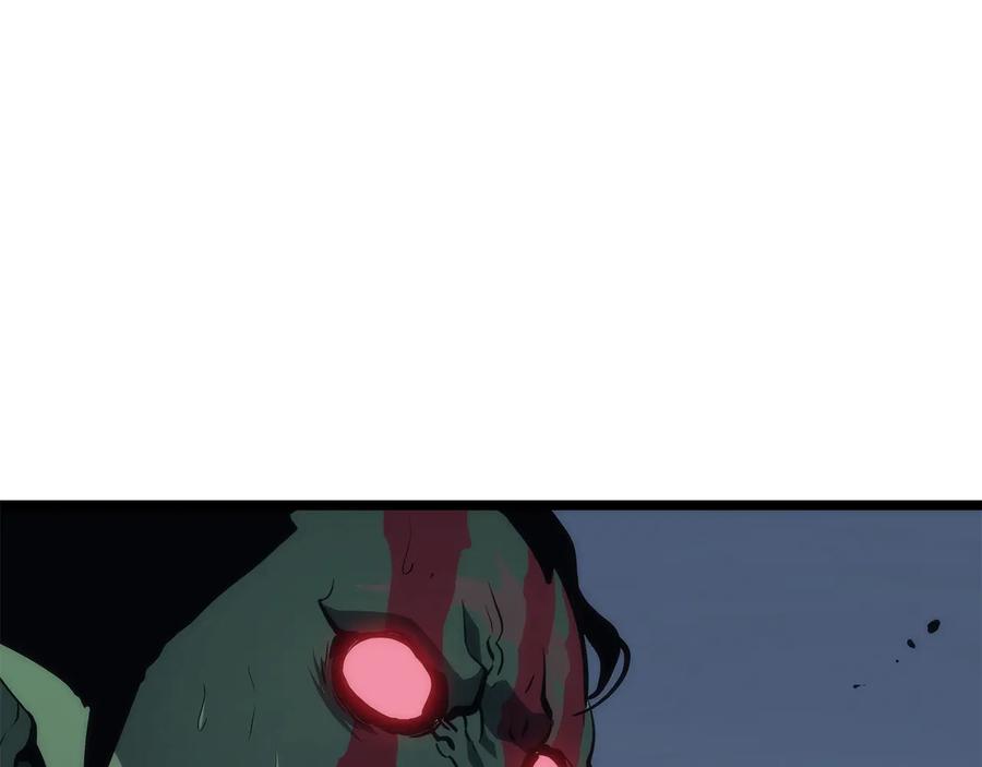 242.jpg