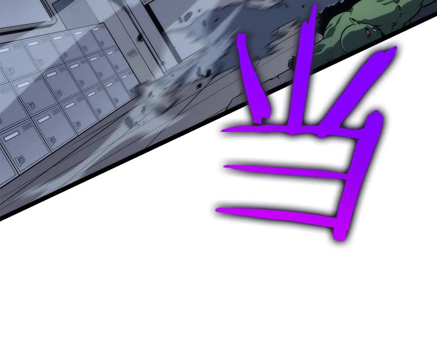 224.jpg