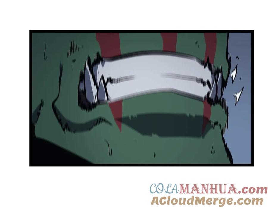 213.jpg