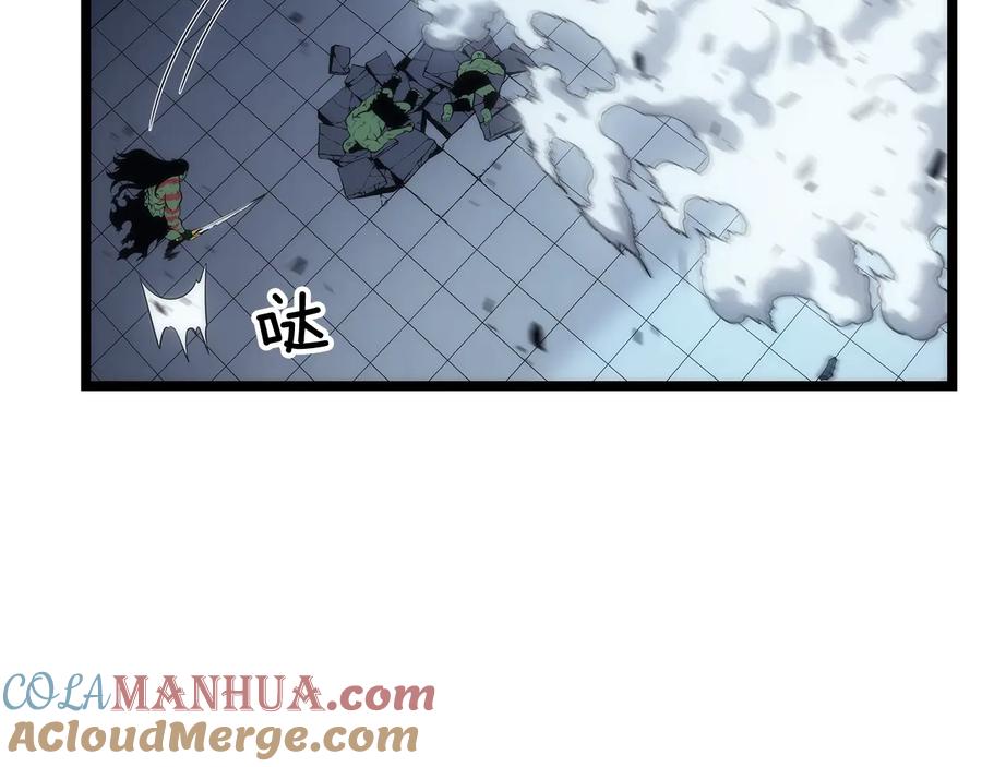 233.jpg