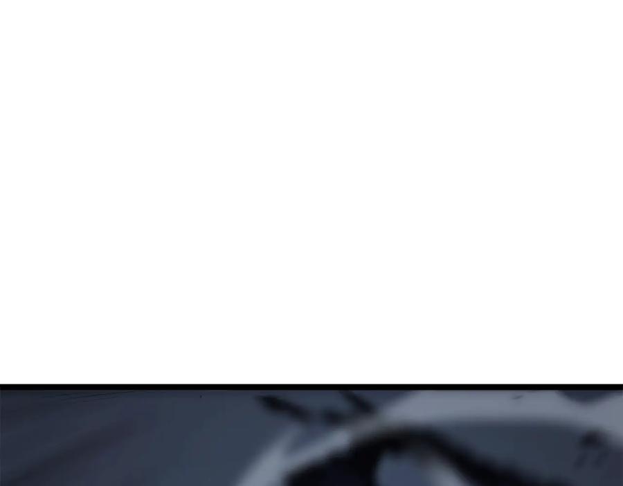 244.jpg