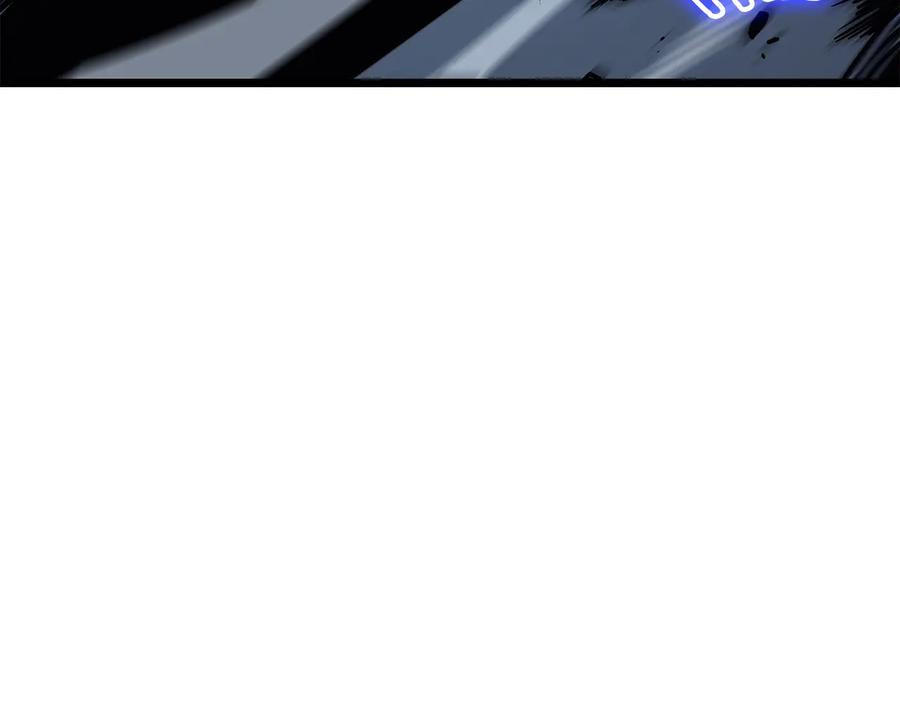 276.jpg