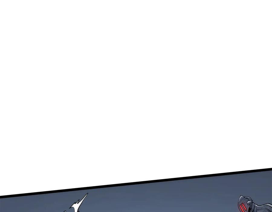 255.jpg