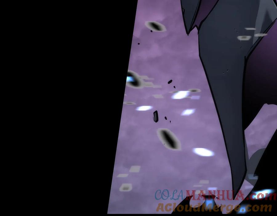 217.jpg