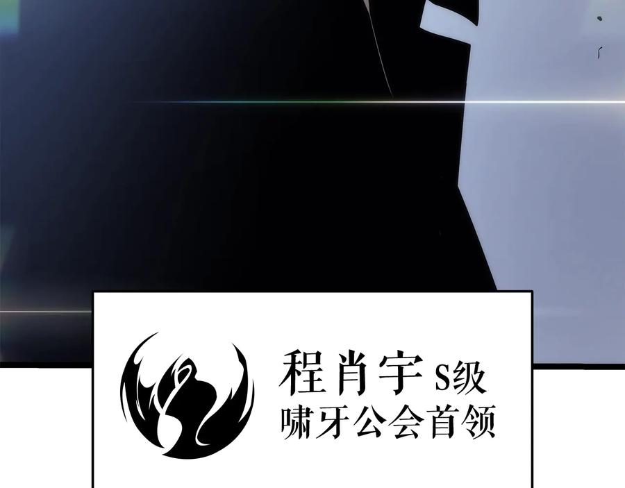 243.jpg