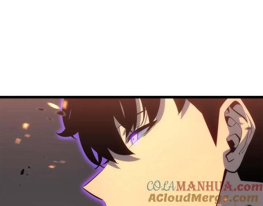 233.jpg