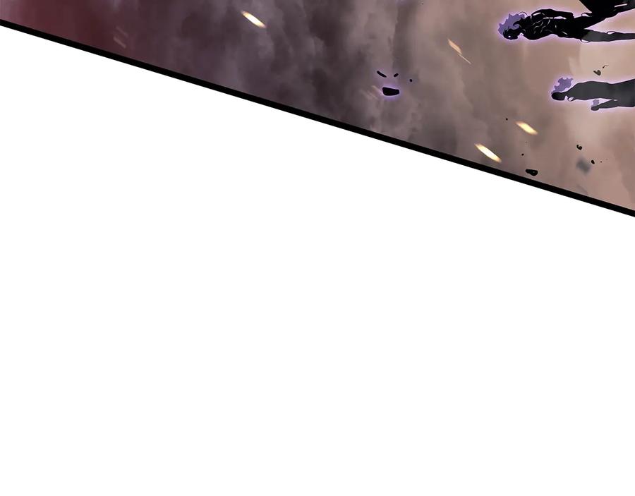 238.jpg