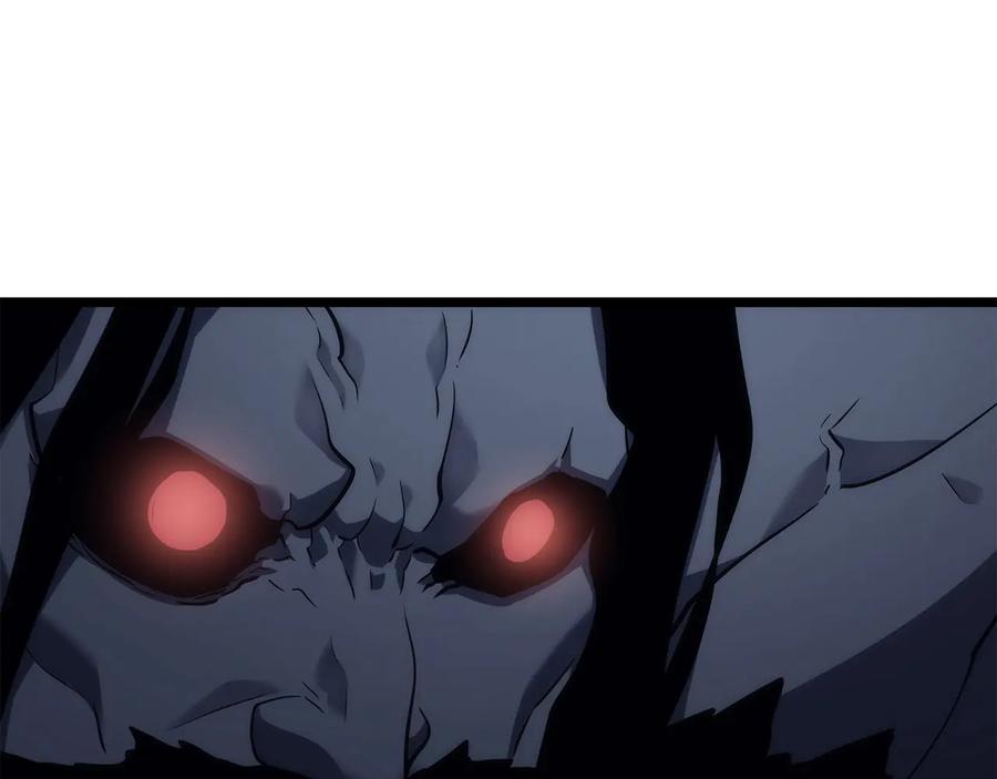 204.jpg