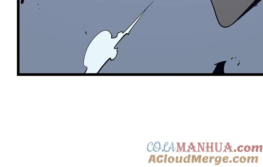 233.jpg