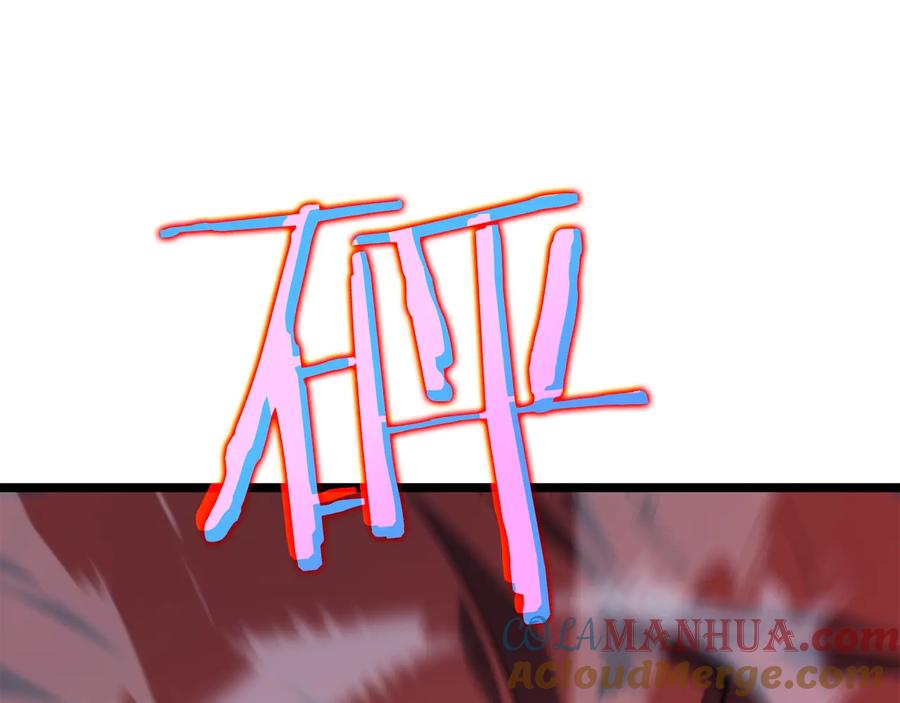 241.jpg
