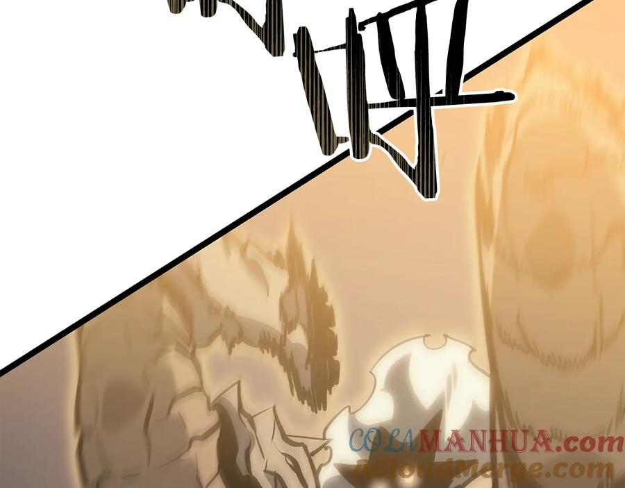 233.jpg