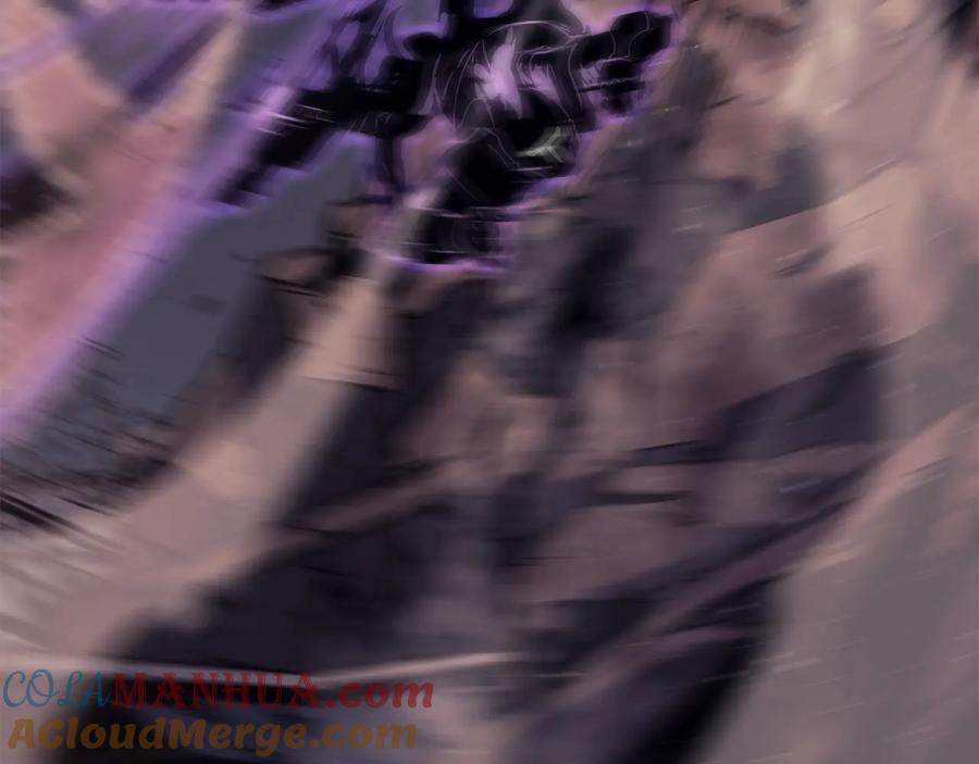 269.jpg