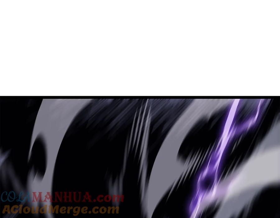133.jpg